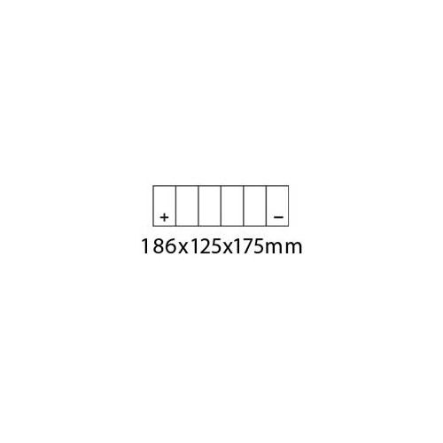 ROADSTAR Battery Battery 12N24-4 CTN 2